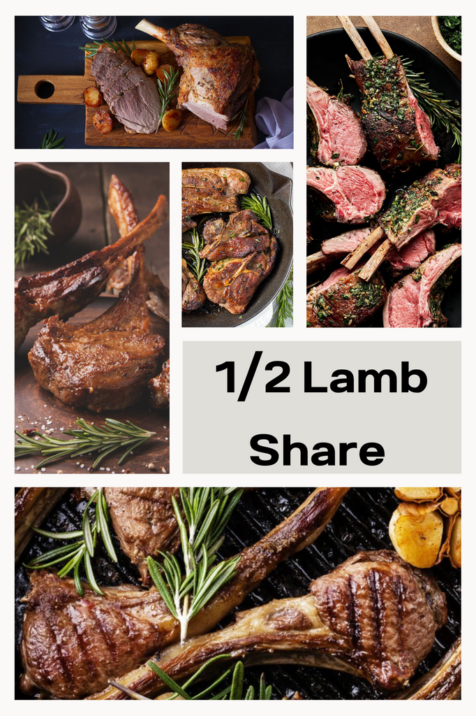 *1/2 Lamb Share*