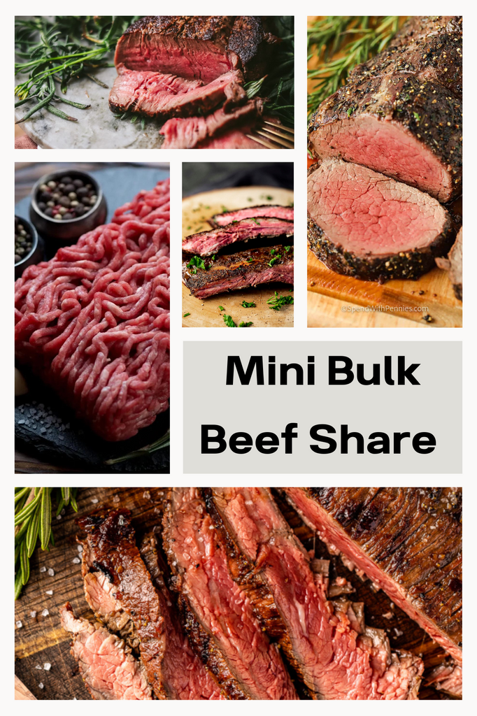 *Mini Bulk Beef Share*